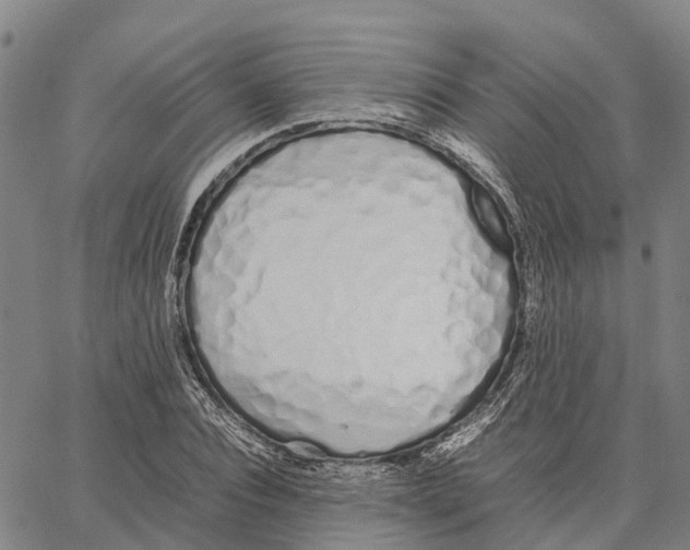 X0000062880928200602101713