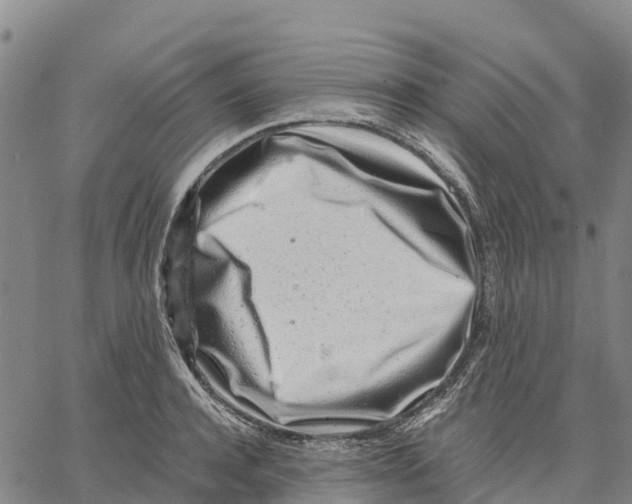 X0000062880944200602101713