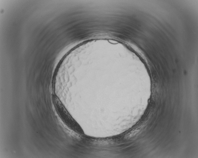 X0000062880951200602101713