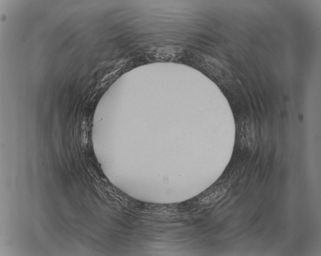 X0000062880962200602101712
