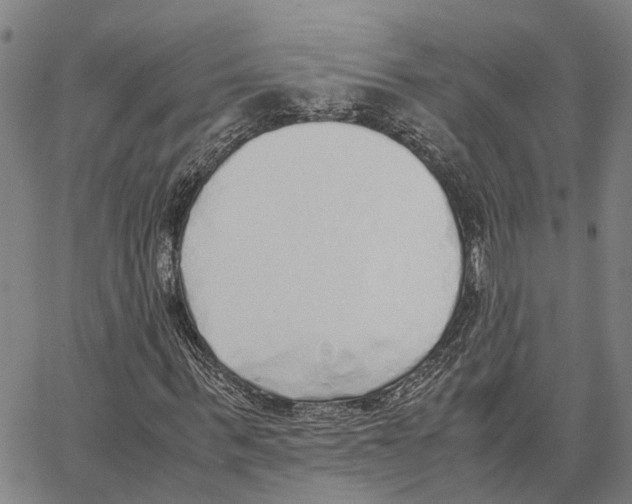 X0000062880963200602101712