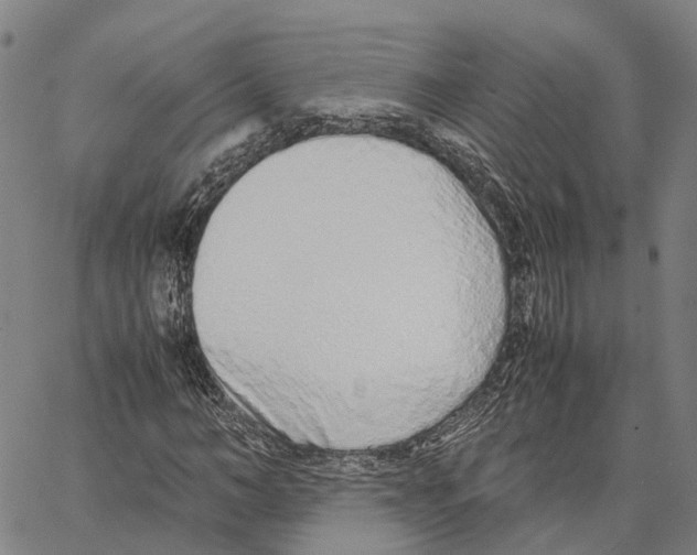 X0000062880966200602101712