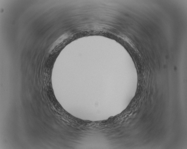 X0000062880967200602101712