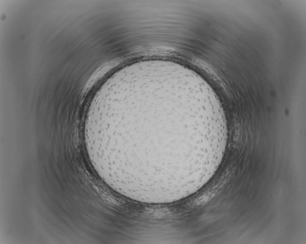 X0000062880978200602101712
