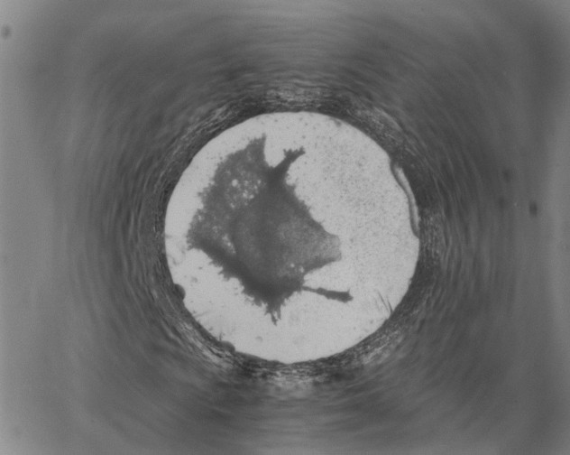 X0000062881009200602101711