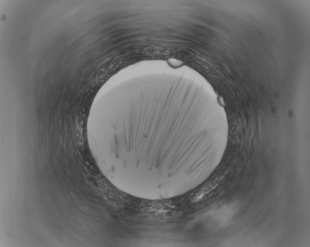 X0000062881013200602101711