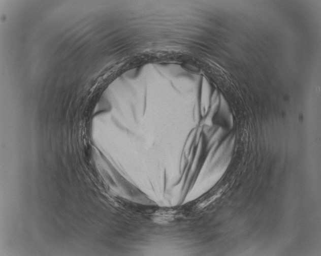X0000062881014200602101711