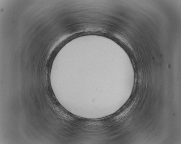 X0000062881021200602101711