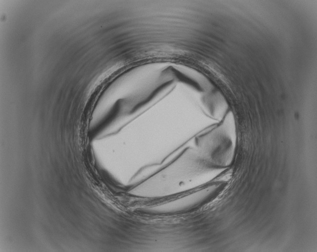 X0000062881026200602101711