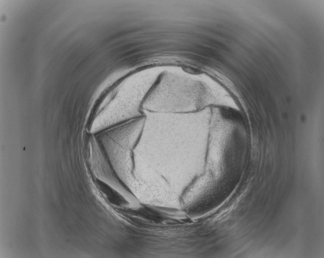 X0000062881045200602101711