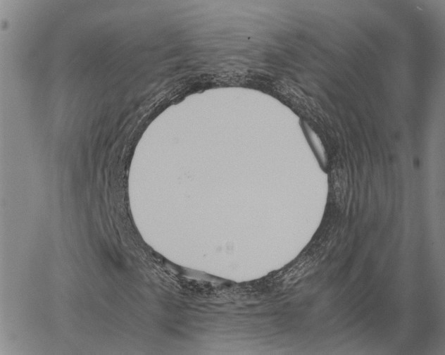X0000062881057200602101711
