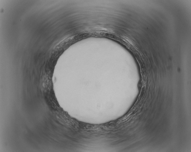 X0000062881063200602101711