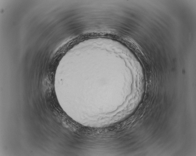 X0000062881064200602101711