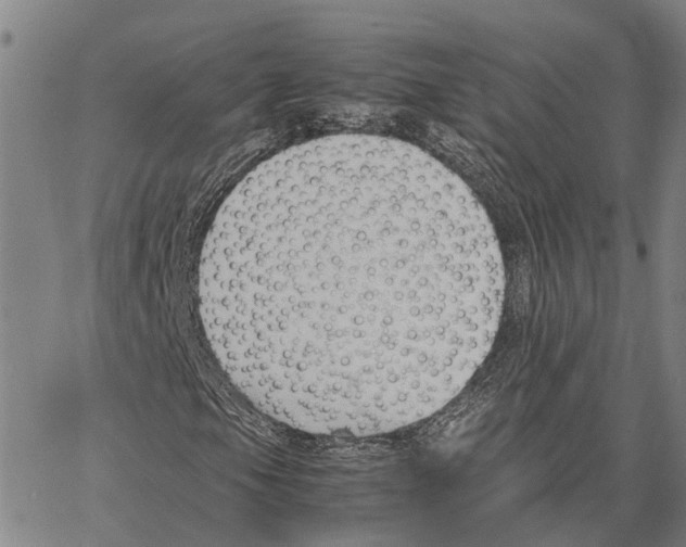 X0000062881105200602101709