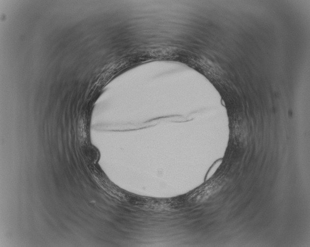 X0000062881106200602101709
