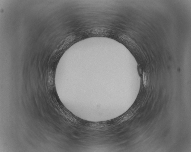 X0000062881107200602101709