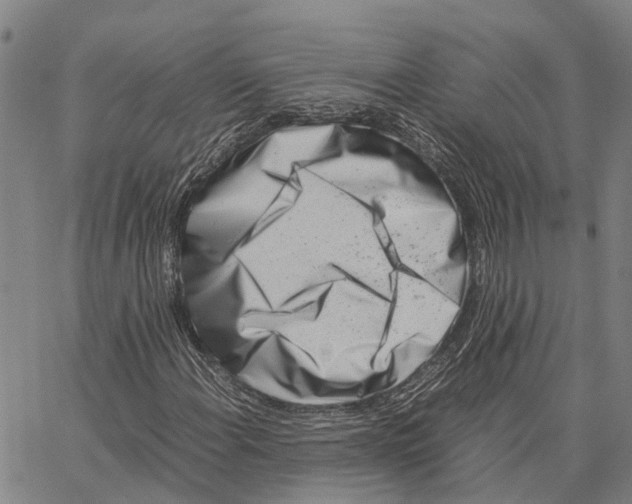 X0000062881108200602101709