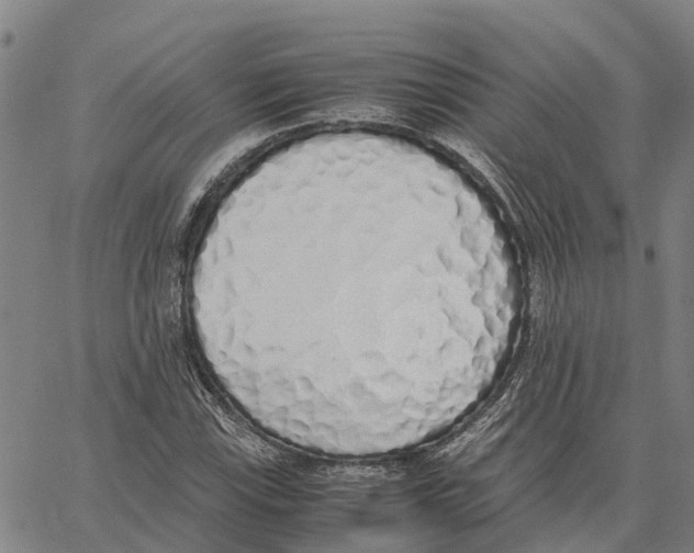 X0000062881115200602101709