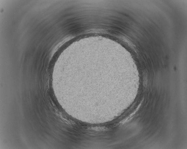X0000062881117200602101709