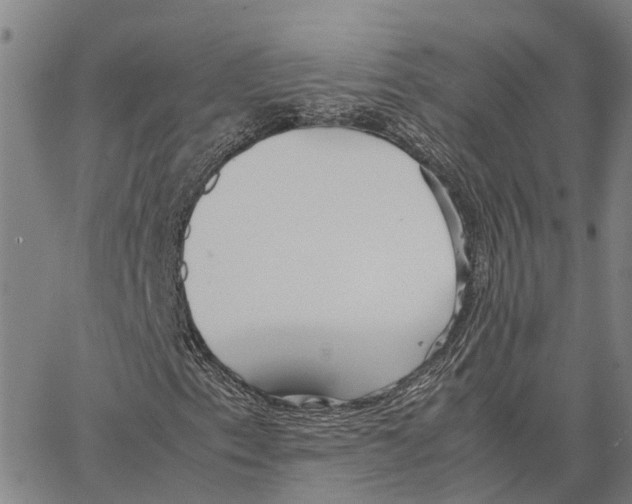 X0000062881153200602101709