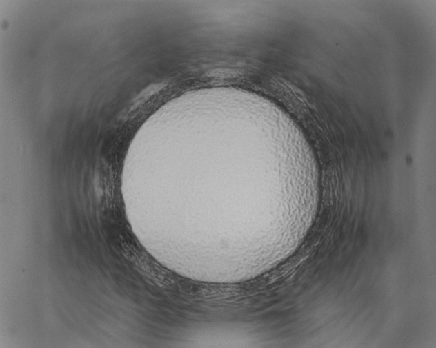 X0000062881158200602101709