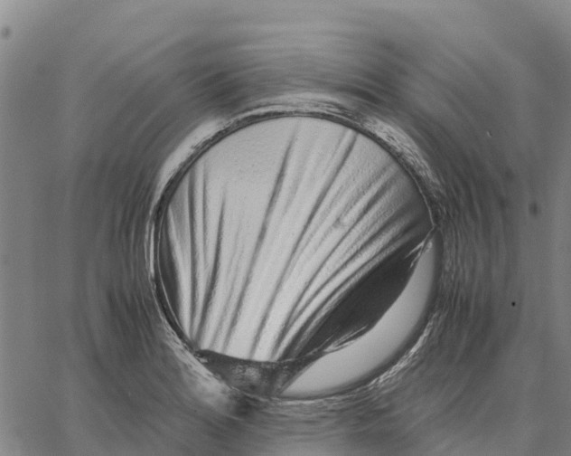 X0000062881180200602101709