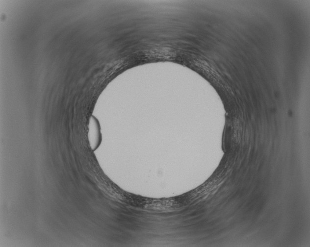 X0000062881201200602101708