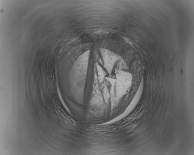 X0000062881202200602101708