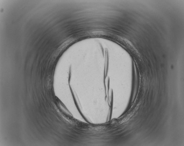 X0000062881225200602101708