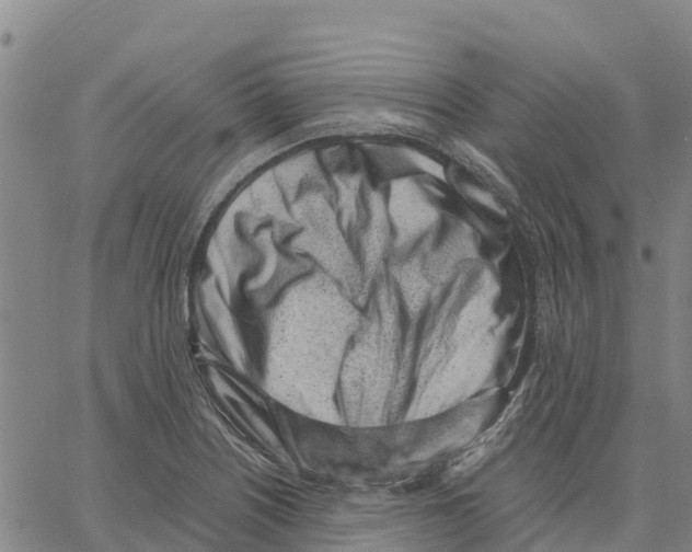X0000062881226200602101708