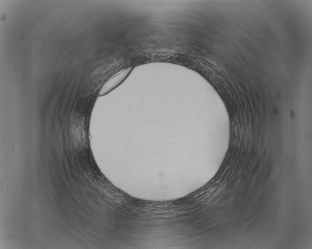 X0000062881252200602101708
