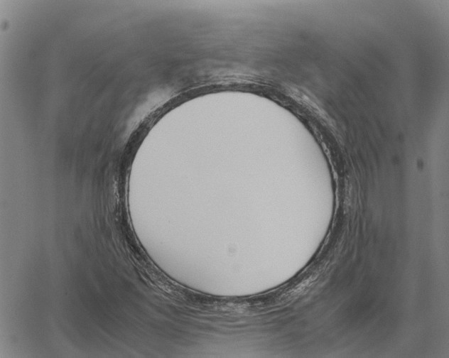 X0000062881261200602101707