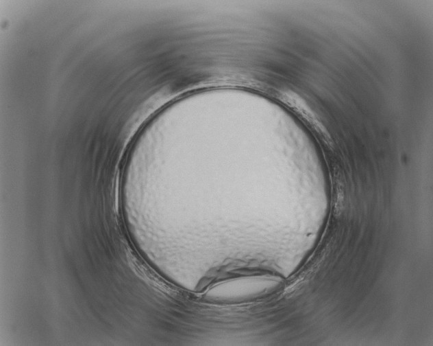 X0000062881276200602101707