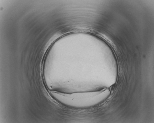 X0000062881283200602101707