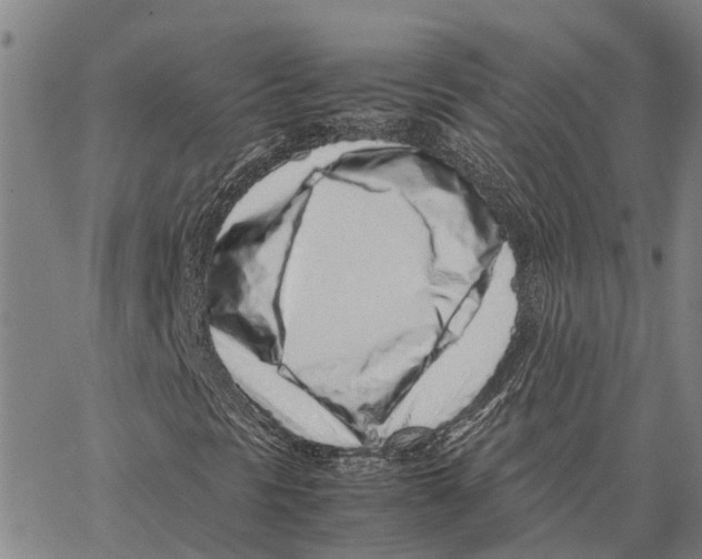 X0000062881297200602101706