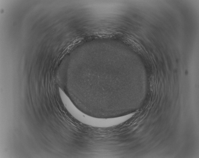 X0000062881298200602101706