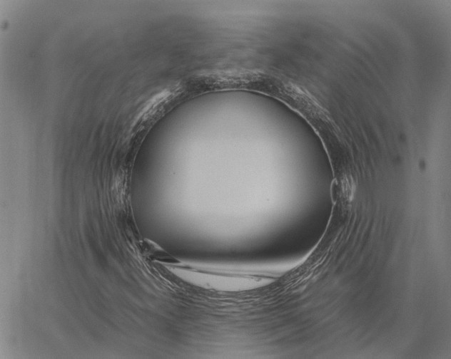 X0000062881300200602101706