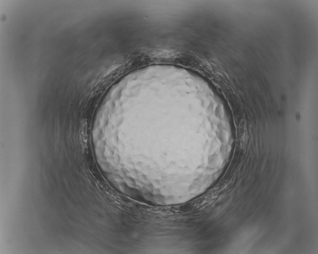 X0000062881301200602101706