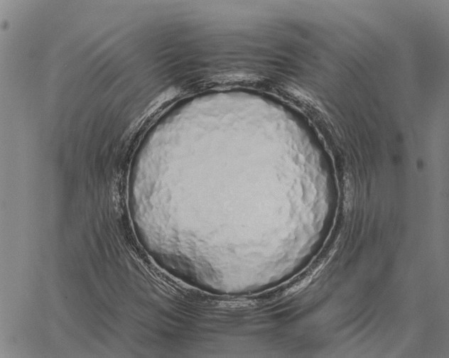 X0000062881305200602101706