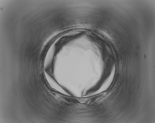 X0000062881310200602101706