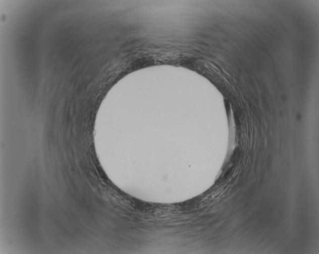 X0000062881345200602101706