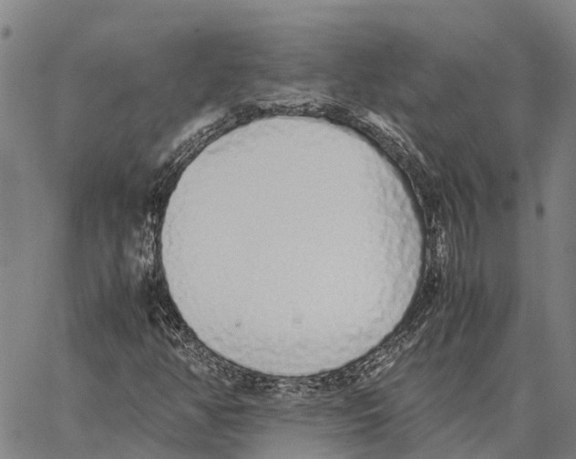 X0000062881350200602101706