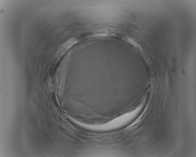 X0000062881353200602101706