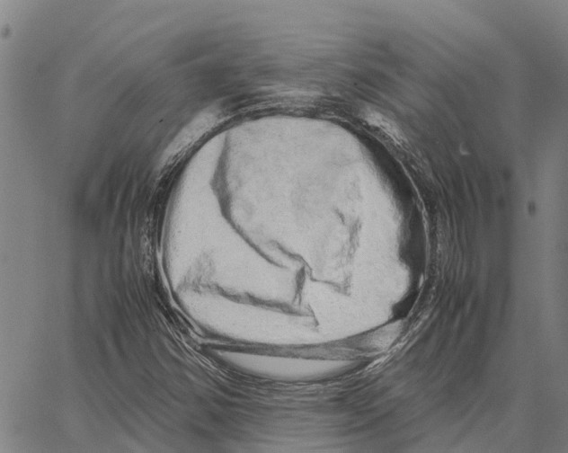 X0000062881354200602101706