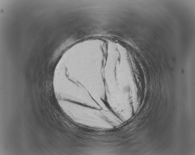 X0000062881359200602101706