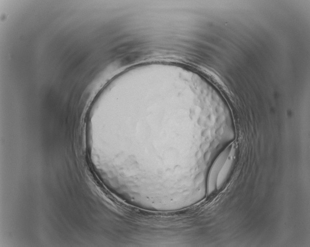 X0000062881371200602101706