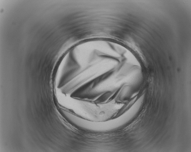 X0000062881372200602101706