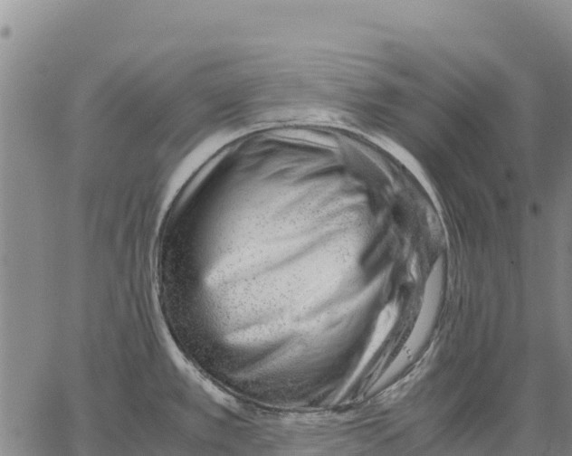 X0000062881389200602101705