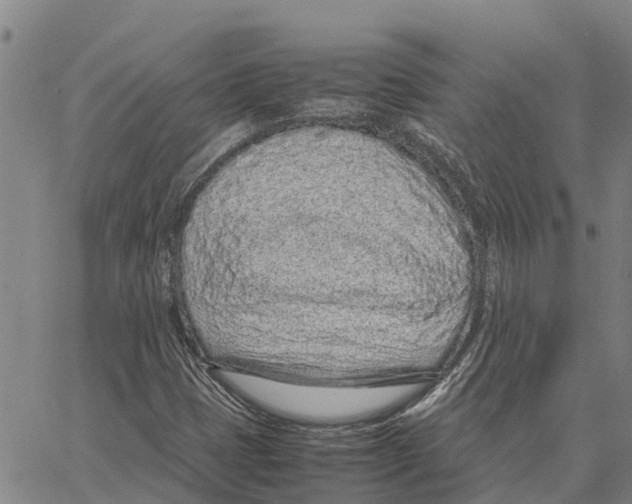 X0000062881401200602101705