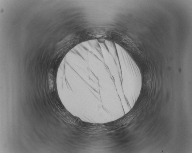 X0000062881442200602101705